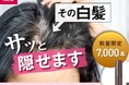 気になる白髪にサッとひと塗り!誰でも簡単にキレイに隠せる「スティック状白髪隠し」待望の再登場!