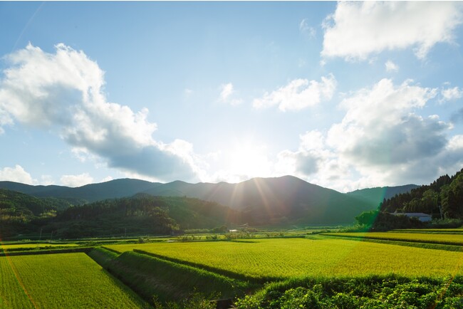 「RVパーク Nordisk Village Goto Islands」現地の様子 「RVパーク Nordisk Village Goto Islands」現地の様子
