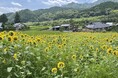 【RVパークで車中泊!】のどかで懐かしい風景が広がる「天下野2区RVパーク捨吉」などオープン!車中泊の旅をより快適にする“RVパーク” 5施設が新規認定!