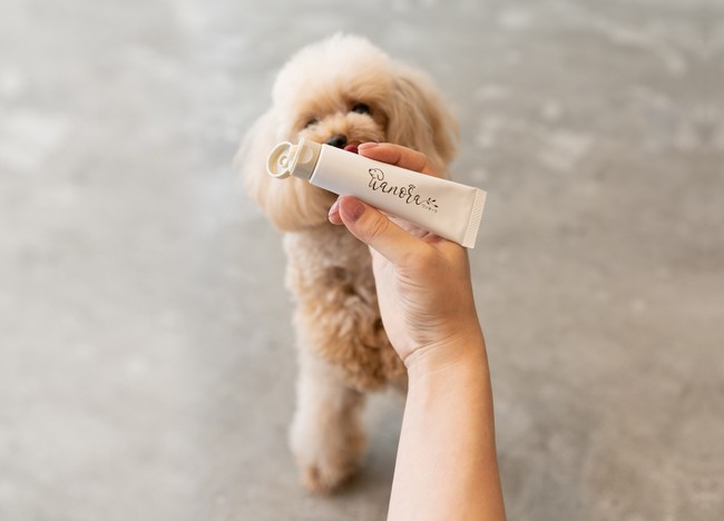 乳歯が抜けたら歯磨き習慣 獣医師監修の歯磨きジェル ワンオーラ が販売開始 時事ドットコム