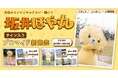 <初の自治体コラボ!>坂井ほや丸×Oshicocoコラボ「坂井ほや丸サイン入りブロマイド」が全国のコンビニプリントで販売開始!