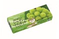 JR PREMIUM SELECT SETOUCHIシリーズ「岡山育ちのシャインマスカットアイスバー」を今年も発売します！
