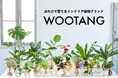 水だけで育てるインテリア植物ブランド「WOOTANG(ウータン)」、GREEN×EXPO 2027(2027年国際園芸博覧会)の出展者に内定