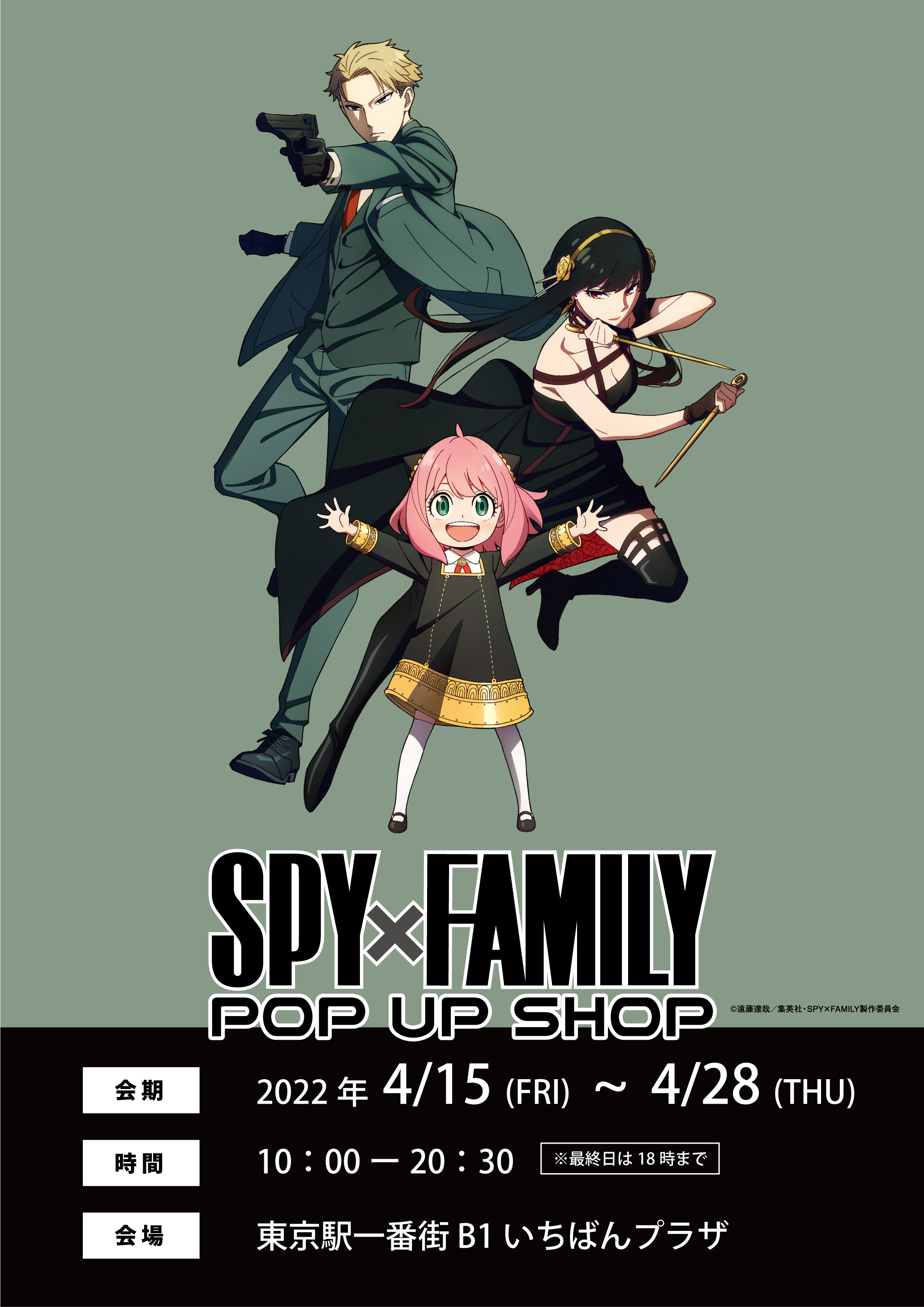 スパイファミリー SPY×FAMILY 映画 フライヤー チラシ 最上の品質な