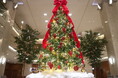 【ホテルグランヴィア岡山】ロビーがクリスマスモード一色に。赤とゴールドを基調としたクリスマスツリーが登場