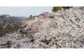 image 0