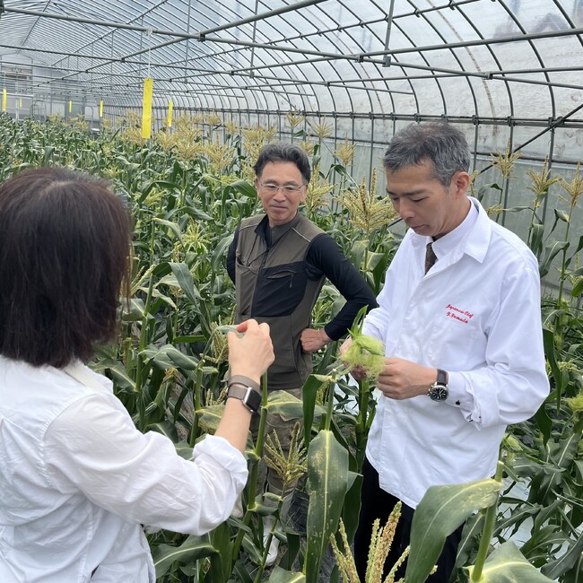 「JA兵庫六甲阪神こだわり野菜の会」会長　遠藤氏