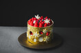 【大阪ステーションホテル、初めてのクリスマス】 クリスマスの夢がつまった金色に輝くケーキ『Blissful Christmas Cake』を発売