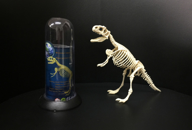 恐竜骨格3Dパズルワークショップイメージ