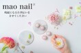 マオジェルがついに、カラージェルを2月17日(月)より常時販売化!合わせてプロ会員制度も開始&事前申請は2月5日(水)から!