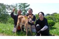 ジャージー仔牛を犬用おやつに!ドットわんが10月1日一般発売決定