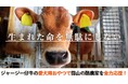 蒜山(ひるぜん)酪農を全力応援!岡山の自然食ドッグフード「ドットわん」が、 6月13日からREADYFOR にてクラウドファンディング開始
