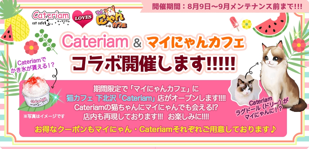 Cateriam マイにゃんカフェ コラボイベント本日開始 株式会社subeteのプレスリリース