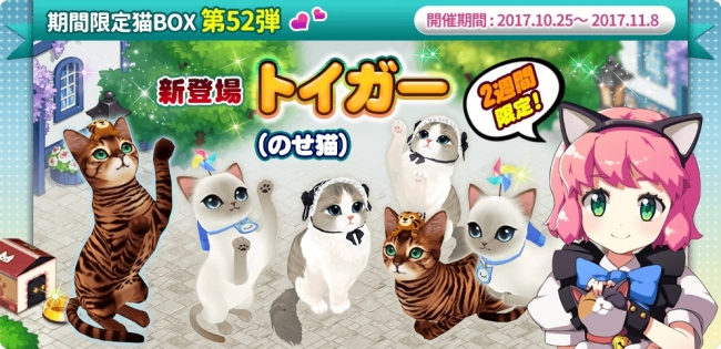 『マイにゃんカフェ』「期間限定猫BOX」第52弾などのイベントを開催！！｜株式会社SUBETEのプレスリリース
