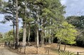 とくしま植物園ドッグランがオープン！