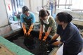 徳島市　「オーダーメイド型ふるさとワーキングホリデー」の参加者を募集