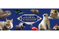 【徳島市】とくしま動物園 STELLA PRESCHOOL ANIMAL KINGDOM　「夜の動物園2026」を開催！