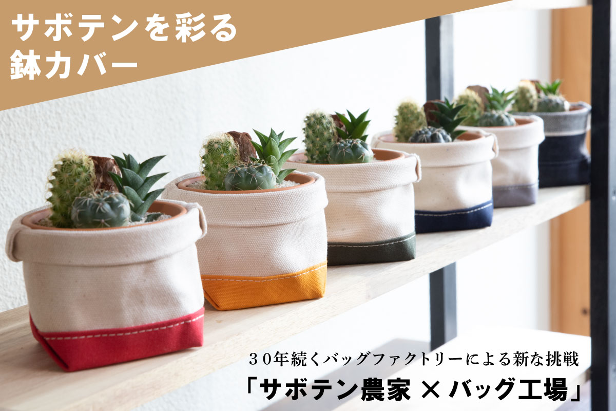 サボテン農家 バッグ工場 による新たな挑戦 さぼてんのふくろ 株式会社ふく江のプレスリリース