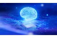 AIモデルを量産コードへ：Neural Net Coderが、組込みプロジェクトの負荷とリスクを軽減