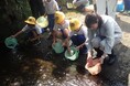 NOKグループ北茨城地区3社、大北川のアユ稚魚放流体験活動に参画　地元小学生とアユ稚魚30kgを放流し、北茨城市の環境保全を支援