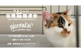 ワタワンに猫ちゃん大集合♪新しい家族との出会いを待っています。11月24日(日)第4回『ワタニャン保護猫譲渡会』開催!ふれあいコーナーやオリジナルグッズ販売も!