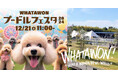 公式アンバサダー『アルくん・ボンドくん』登場!12/21(土)【WHATAWON プードルフェスタ 2024】ファッションショー参加者の募集を開始。