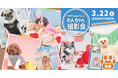 【南大阪ワタワン】わんちゃん撮影会、事前予約で「うちのコキーホルダー」プレゼント!
