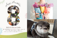 WHATAWON公式アンバサダー・カワウソのウーちゃんが8歳に♪ファン必見のバースデーイベント、5月25日(日)に開催!