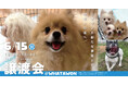 【保護犬譲渡会】WHATAWONが架け橋に。何気ない出会いが、かけがえのない時間になる――6月15日開催