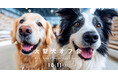 10月11日(土)は愛犬と一緒に!参加無料の\第2回 大型犬オフ会 in WHATAWON/開催!!