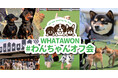 累計参加犬種30種以上、犬種別で楽しむ「わんちゃんオフ会」を定期開催【大阪・岸和田／WHATAWON】