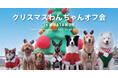 開催迫る！愛犬と行けるクリスマス！小型犬・大型犬別で楽しめるWHATAWONドッグラン【大阪】