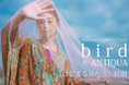 birdの歌声をまとう。ANTIQUAがWHATAWON 2周年ライブ記念LOOKBOOKを公開