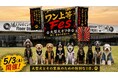 【GWの思い出はこれで決まり！】愛犬が主役になる大型犬フェス開催｜大阪・岸和田 WHATAWON