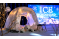 真夏の大阪に“雪国”が出現!? WHATAWONで夏限定イベント「ICE WONDER LAND」が開催中!