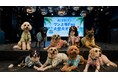 猛暑でも大型犬と快適に遊べる。WHATAWONが室内イベント「ワン上等Fes Summer Party」を8月29日開催