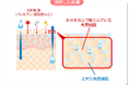 スキントラブルの調査結果を受け”皮膚浸軟”に着目した大人用紙おむつの開発を推進