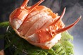 兵庫・湯村温泉「湧泉の宿ゆあむ」、9月に漁解禁/秋の味覚・香住ガニ付プランを販売【2025年9月5日(金)~10月31日(金)】