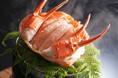 兵庫・湯村温泉「湧泉の宿ゆあむ」、秋の味覚「香住ガニ」のふっくらとした身と濃厚なカニ味噌餡を味わう宿泊プランを販売開始