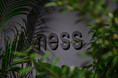 ness 初のPOP UP SHOP イベントレポート