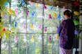【定山渓 鹿の湯・花もみじ】思い思いの願いを込めたてるてる坊主を飾る「願掛けてるてる坊主」が5月12日より開催