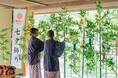 【定山渓 鹿の湯・花もみじ】短冊に思い思いの願いを込める「願掛け七夕飾り」が開催