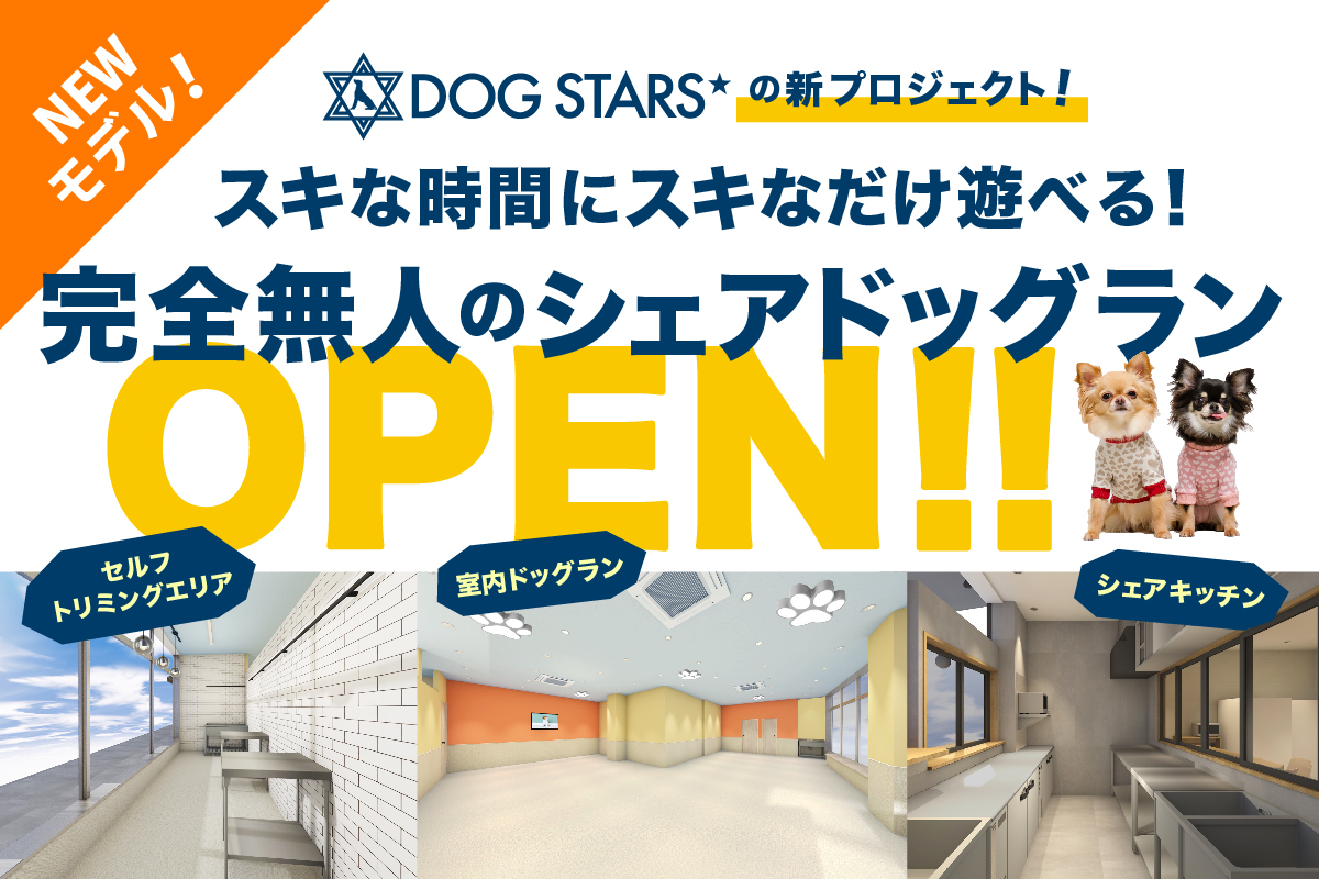 業界初の試み ありそうで無かったシェア型 Dsドッグラン を 横浜銀行アイスアリーナ１ｆにｏｐｅｎします 株式会社regulusjapanのプレスリリース