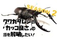 クワガタムシの「カッコよさ」の源を解明するために２回目のクラウドファンディングを開始