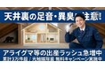 【福岡・熊本・佐賀】4月から屋根裏・天井裏の害獣出産期本格化！　　　　　アライグマやイタチ等の害獣による騒音・糞害・子供の鳴き声等のご相談が増加、無料調査と衛生対策キャンペーン開始！