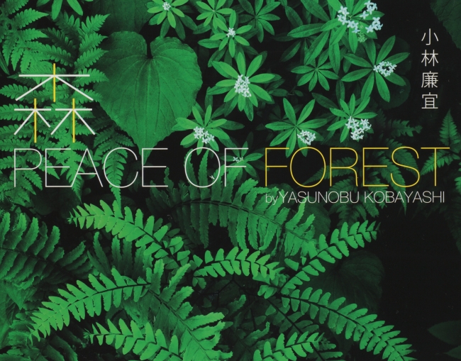 『森　PEACE OF FOREST』