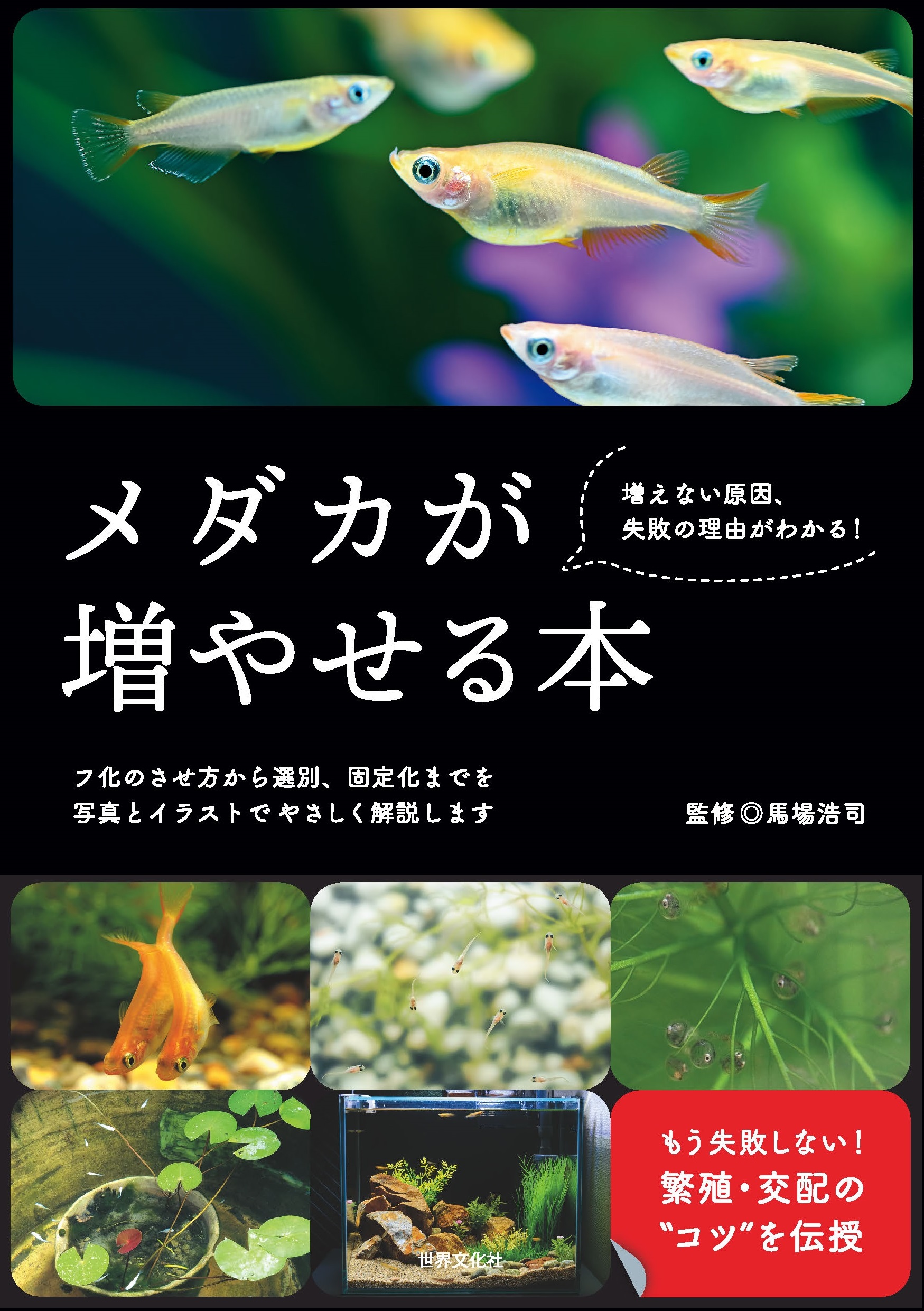 飼っているメダカ、どうやって増やせばいいの？…に答えます。書籍