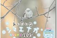 大人気シマエナガ写真絵本がカレンダーに!『あいたいなシマエナガカレンダー2025』10月4日発売