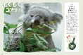 【累計5万部突破‼】「かわいい」だけで終わらせたくない！ 究極のコアラ愛蔵書『コアラ沼への招待状』4月2日発売