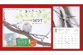 かわいすぎて大人気！ 写真絵本『あいたいな シマエナガ』から生まれたカレンダーが今年も登場。9月10日発売